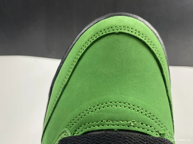 Chep Onekick SE Jordan Air Ducks Oregon 5 CK6631-307 0531